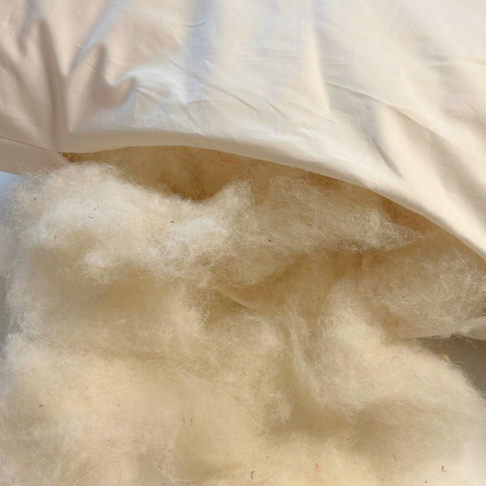 Oreillers WOOL